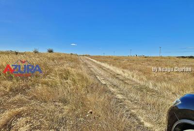 AZURA Imobiliare - Oportunitate rara de investi?ie in ... - 12