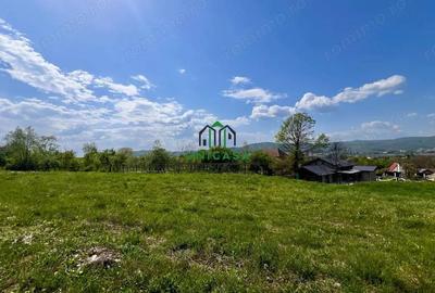 Teren Goranu 1769 mp/Intravilan - 3