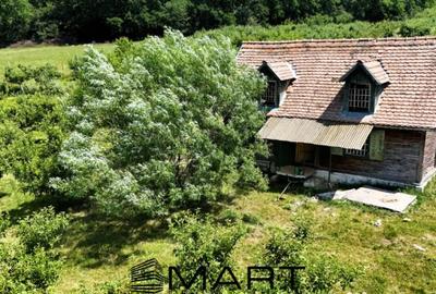 Teren de 5000 mp, în Mihai Viteazul - 3