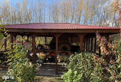 Casă cu 4 camere cu Teren 8807 Mp în Girov - 3