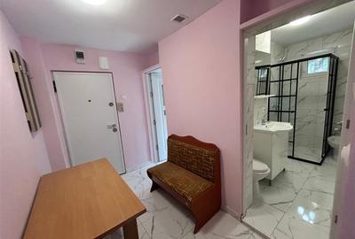 Apartament cu 2 camere semidecomandat, mobilat în Moroasa 2 - 7