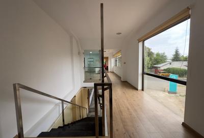 Spatii, vad, birouri, medical, hala, teren, de la 25mp la 500mp, zona ISU Copou - 12