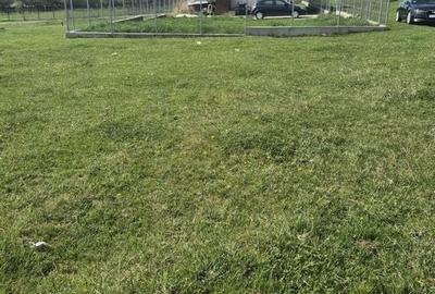 Teren intravilan 509 mp + proiect - livada cu visini Voila-Campina