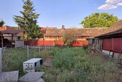 Casa cu teren generos de vanzare in Sanandrei aproape de Primarie ?i centrul localita?ii - 2