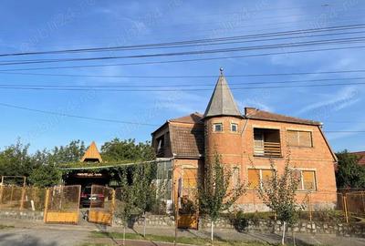 Casă cu 6 camere cu Teren 3000 Mp în Jimbolia - 6