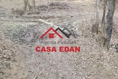 Teren de 3448 mp, în Provița de Jos - 10