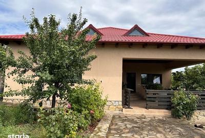 Casă cu 4 camere cu Teren 1420 Mp în Pietroasele - 4