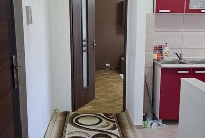Apartament cu 2 camere decomandat în Lotrioara - 8