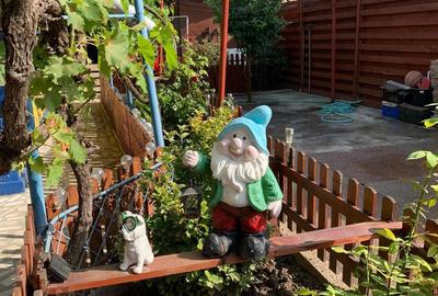 Vand casa Ovidiu - 4