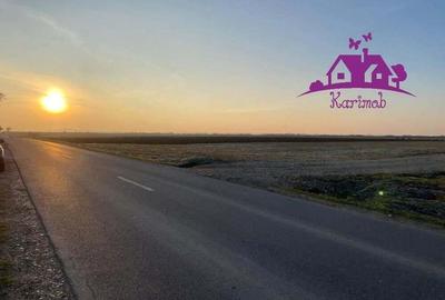 Parcele de teren industrial pentru diferite activitati economice - 3