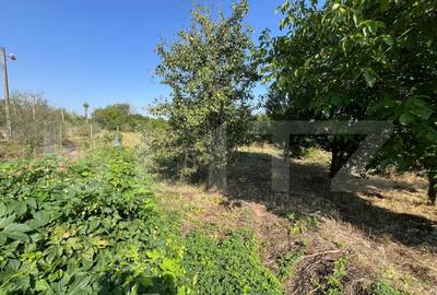 Teren intravilan de vanzare, 2.000 mp, deschidere 30 m - 9