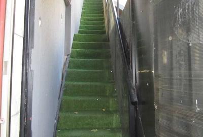 - Baba Novac - Campia Libertatii - 18