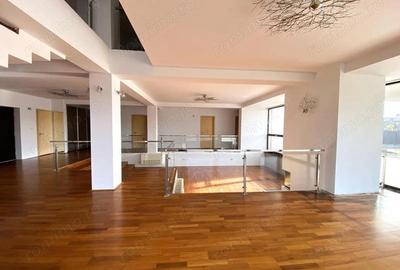 Oportunitate de afacere: spa?iu de inchiriat 650 mp in Arad - 8