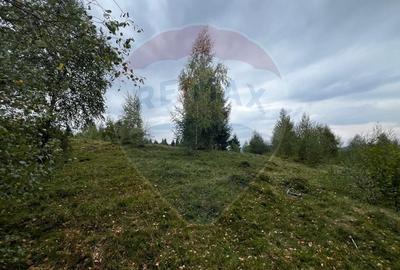 Teren extravilan parcelabil Calatele Padure, zona Dealu Negru - 6