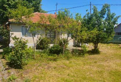Casa batraneasca , foisor si teren de vanzare - 14