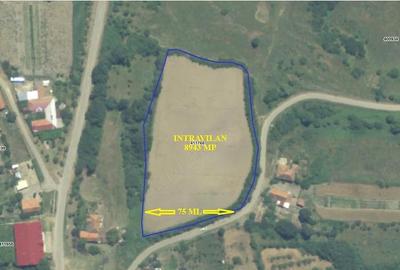 Teren de 8943 mp, în Central - 2