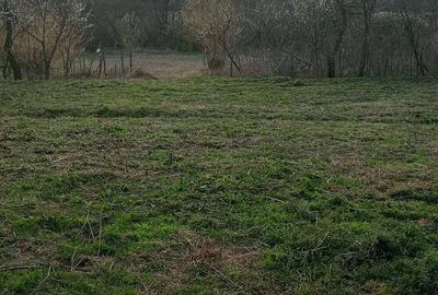 Casă cu 3 camere în Vârleni - 4