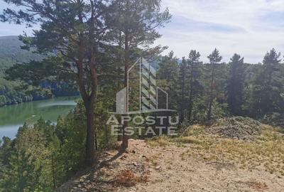 Teren Construcții intravilan de 2000 mp, în Văliug - 4