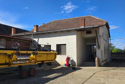 Cenad-Posibilitate Afacere-casa si 669mp teren-Ultracentral - 3
