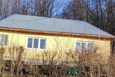 Casă cu 2 camere în Băița - 4