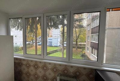 Dambu Pietros - Vanzare apartament 2 camere - Str. Ceahlau - 8