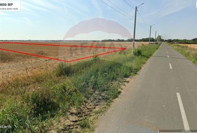 Teren intravilan 8.650 mp de vanzare Cernica acces rapid A2/A0 - 4