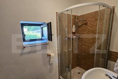 Casă cu 4 camere cu Teren 4435 Mp în Central - 9