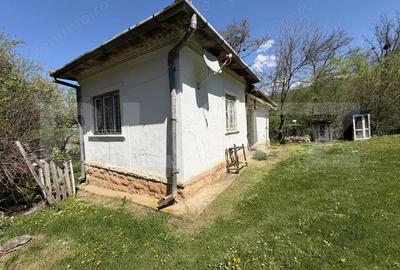 Casă cu 3 camere cu Teren 5000 Mp în Petrindu - 2