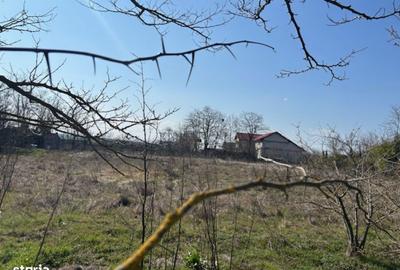 Spațiu comercial, în Vadu - 9