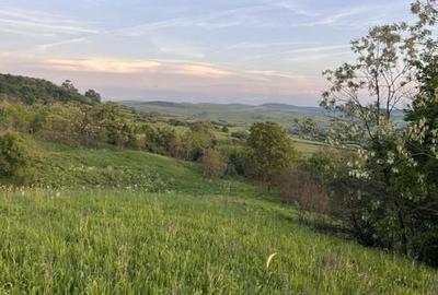Teren de 11000 mp, în Brădeni - 3