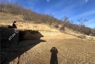 Teren intravilan de 1641 mp cu PUZ aprobat si utilitati in Cisnadioara - 8