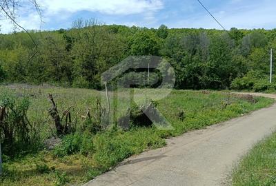 Intravilan Tiparesti, relaxare aproape de padure - 4