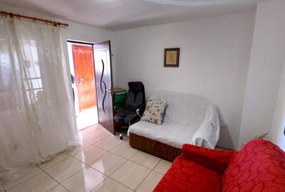 Casa de locuit posibilitate spatiu comercial - 10