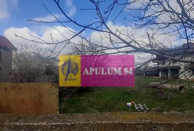 Teren de 2950 mp, în Alexandriei - 23