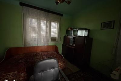 Casă cu 4 camere cu Teren 3767 Mp în Borș - 1