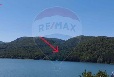 Teren forestier langa lacul Cincis, jud Hunedoara - 2