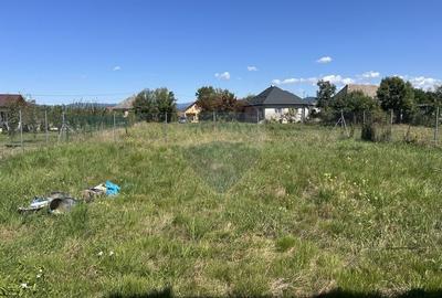 De vanzare Hala 160 m2 in localitatea Lapusel, comuna Recea, Maramures - 32