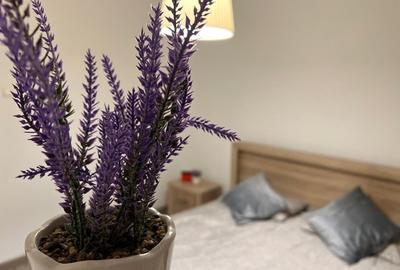 Vanzare apartament 2 camere Drumul Taberei Parc - 7