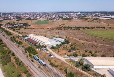 Vanzare teren intravilan  10,000 mp Dobroesti / Sirul Tarla 21