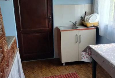 Vand casa cu teren de 2000mp in Bogdanesti - 9