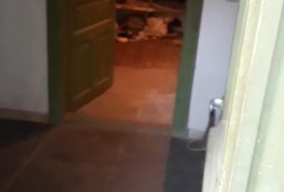 Casă cu 4 camere cu Teren 2000 Mp în Bujoreni - 9