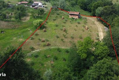 Spațiu comercial, în Cicănești - 14