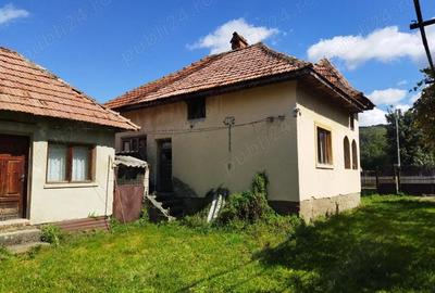 Casă cu 3 camere în Furnicoși - 1