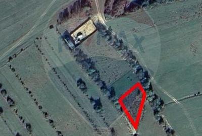 Teren intravilan de 857 mp, în Tohănița - 1