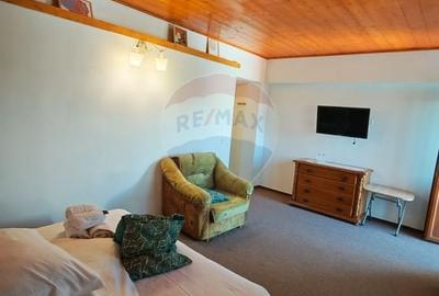 Hotel/Pensiune, de 270 mp, în Baia de Fier - 25