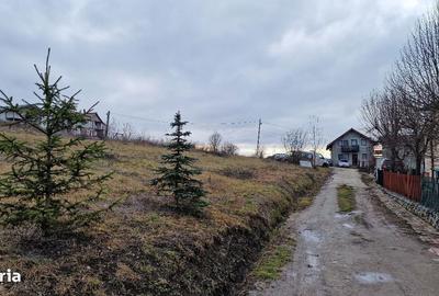 Spațiu comercial, în Sânnicoară - 1