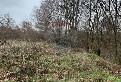 Teren intravilan de 1200 mp, în Satu Nou de Jos - 4