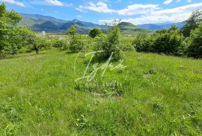 Parcelele cu cele mai bune preturi din judet - 11