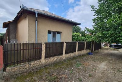 Casa individuala/sat Dobreni comuna Varasti - 23