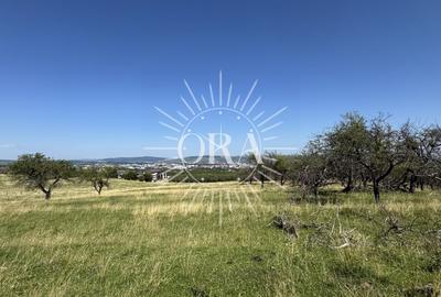 Teren Construcții intravilan de 2900 mp, în Calea Turzii